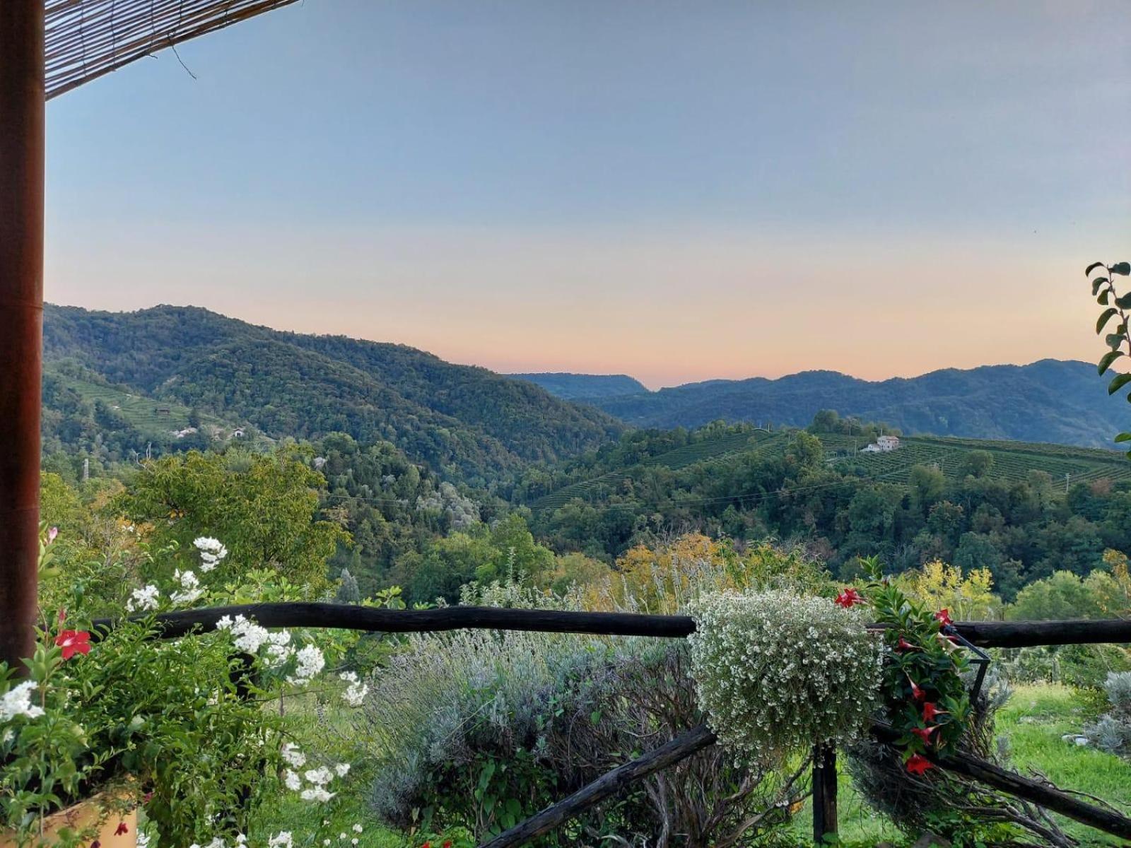 Agriturismo Le Noci Tarzo Экстерьер фото