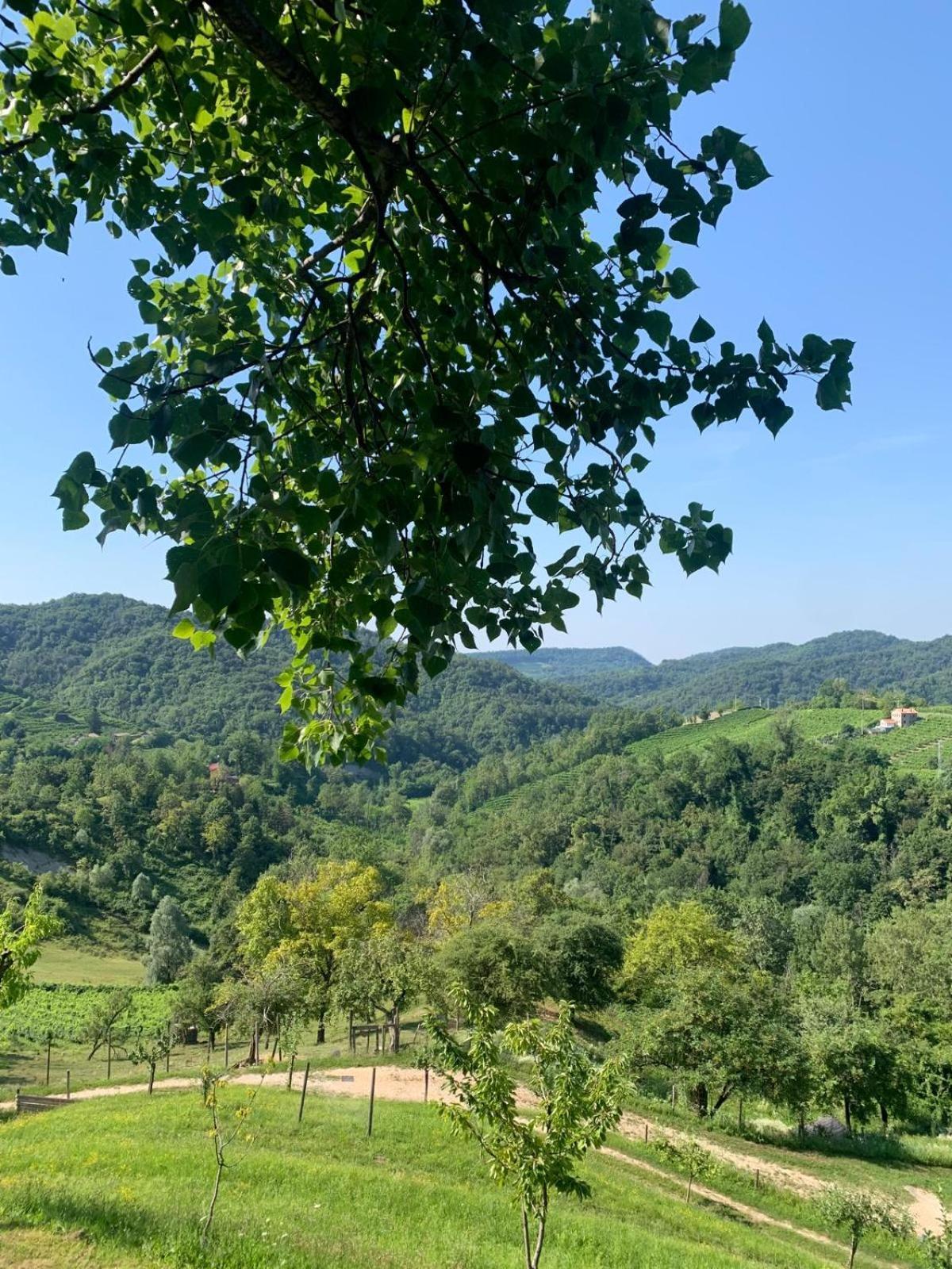 Agriturismo Le Noci Tarzo Экстерьер фото