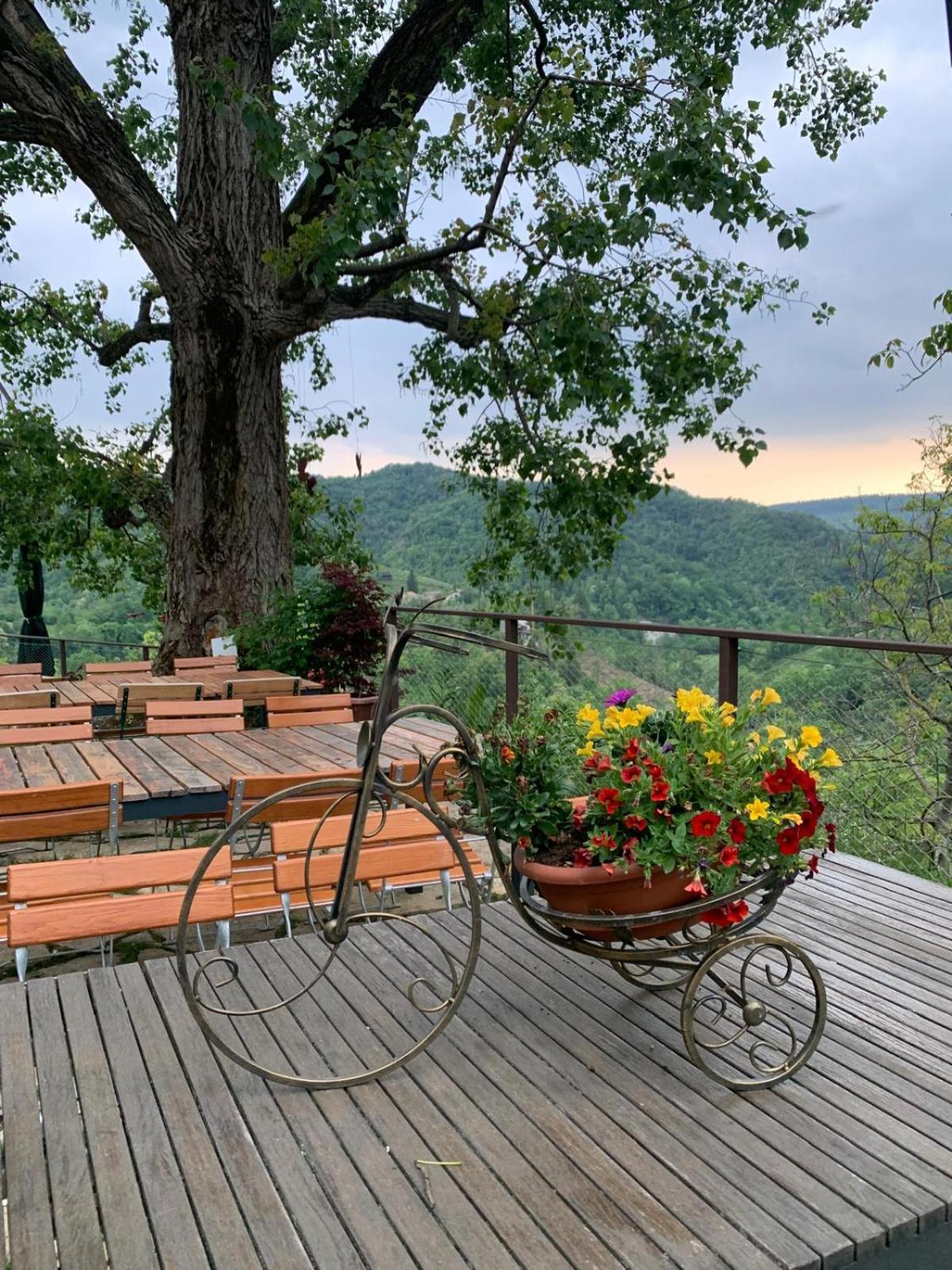 Agriturismo Le Noci Tarzo Экстерьер фото